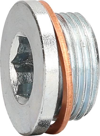 KS Tools Ölablassschraube M22 x 1,5 x 13 mm für Renault