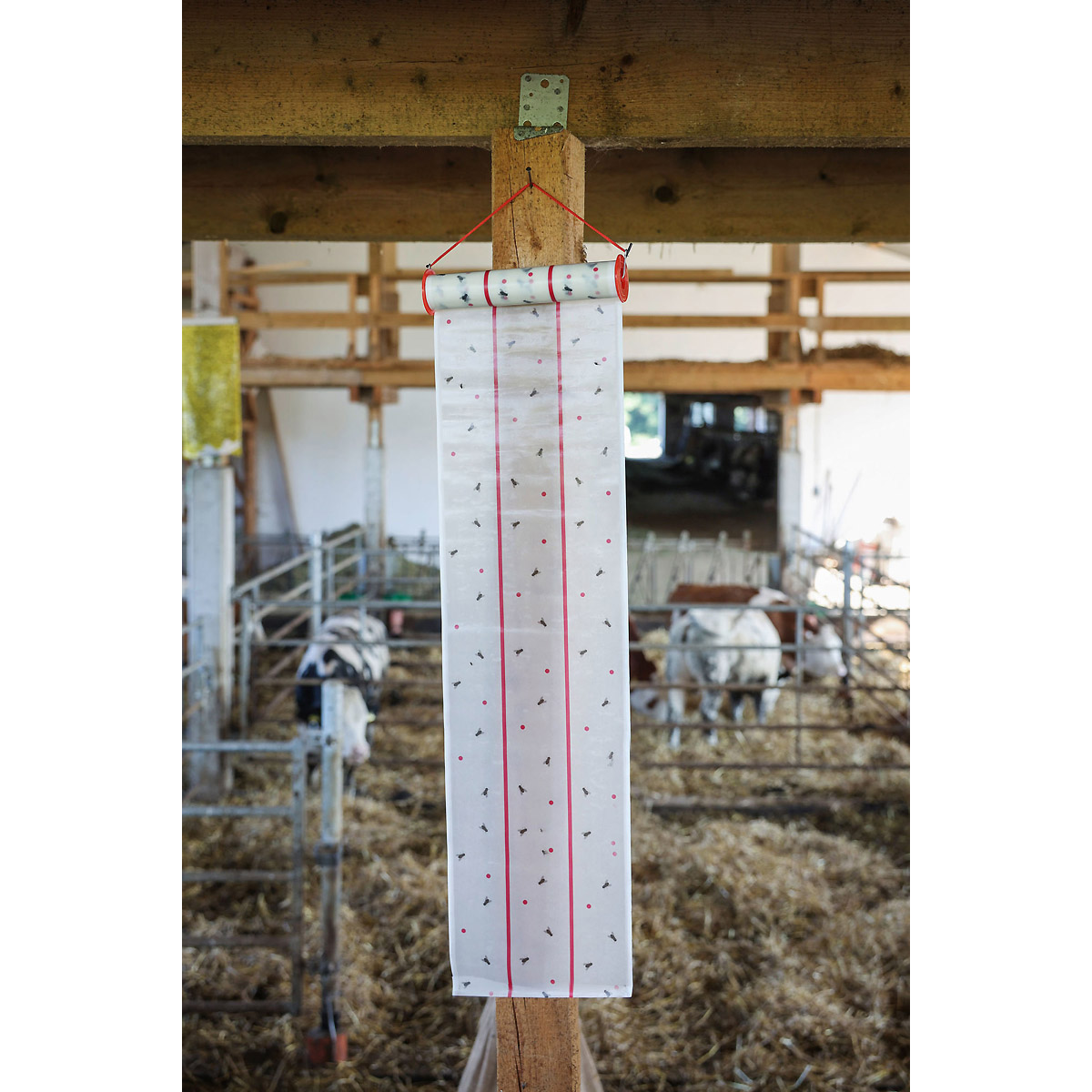 Kerbl CIT Fliegenrolle MuscaRoll, Halteschnur, 10m x 25cm