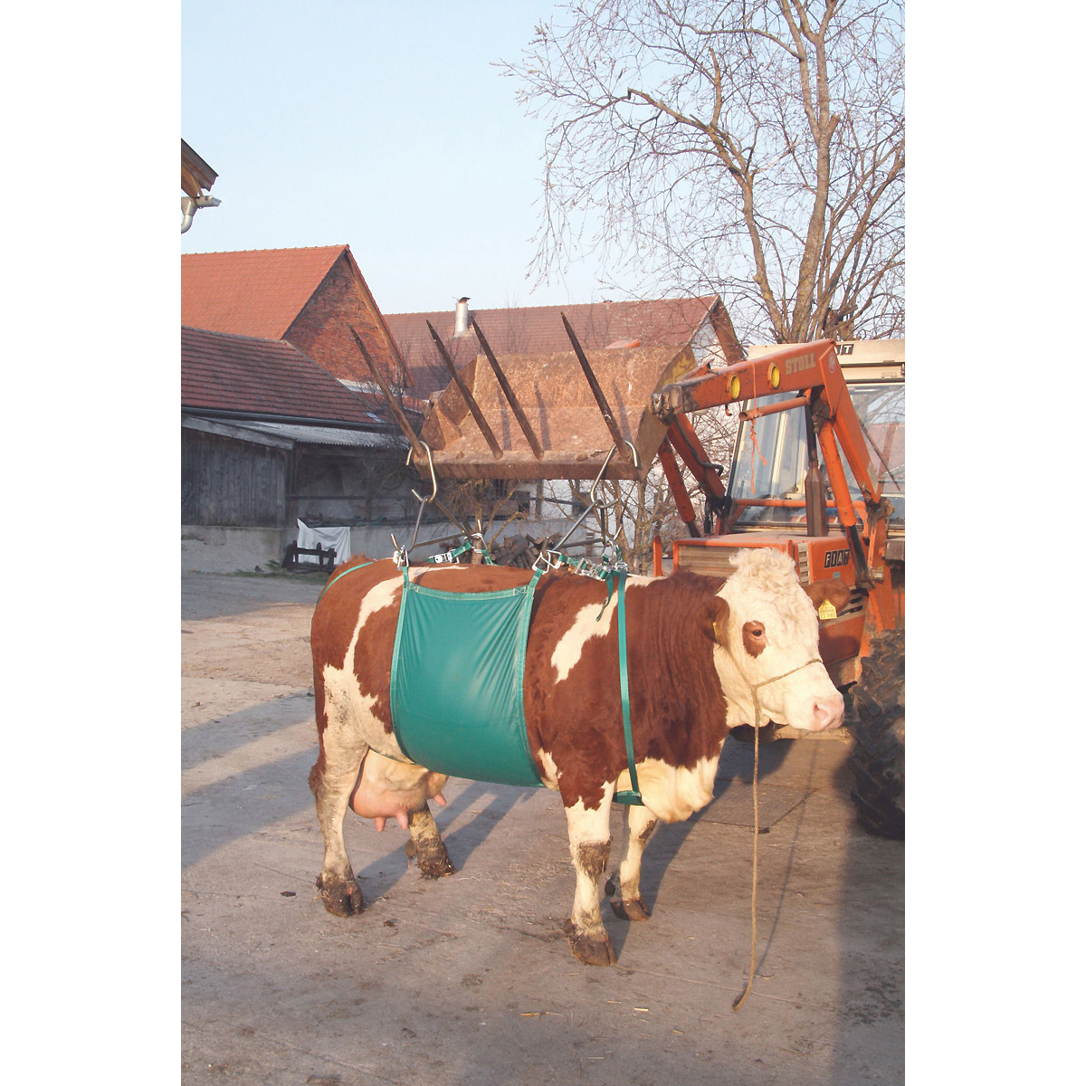 Kerbl Kuhhebevorrichtung