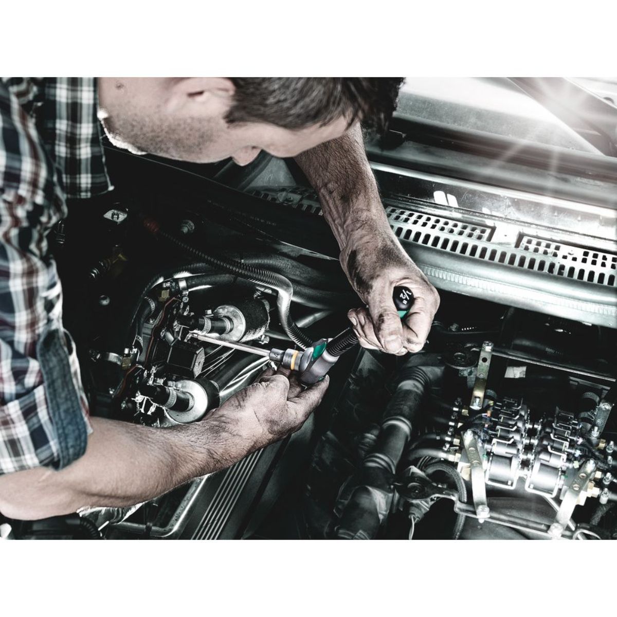 Wera 8767 C TORX HF 2 Zyklop Bitnuss-Satz TORX, mit Haltefunktion, 6-teilig