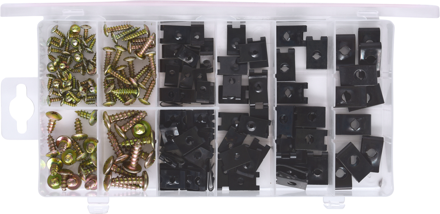 KS Tools Sortiment Karosseriemuttern & Schrauben, 170-tlg