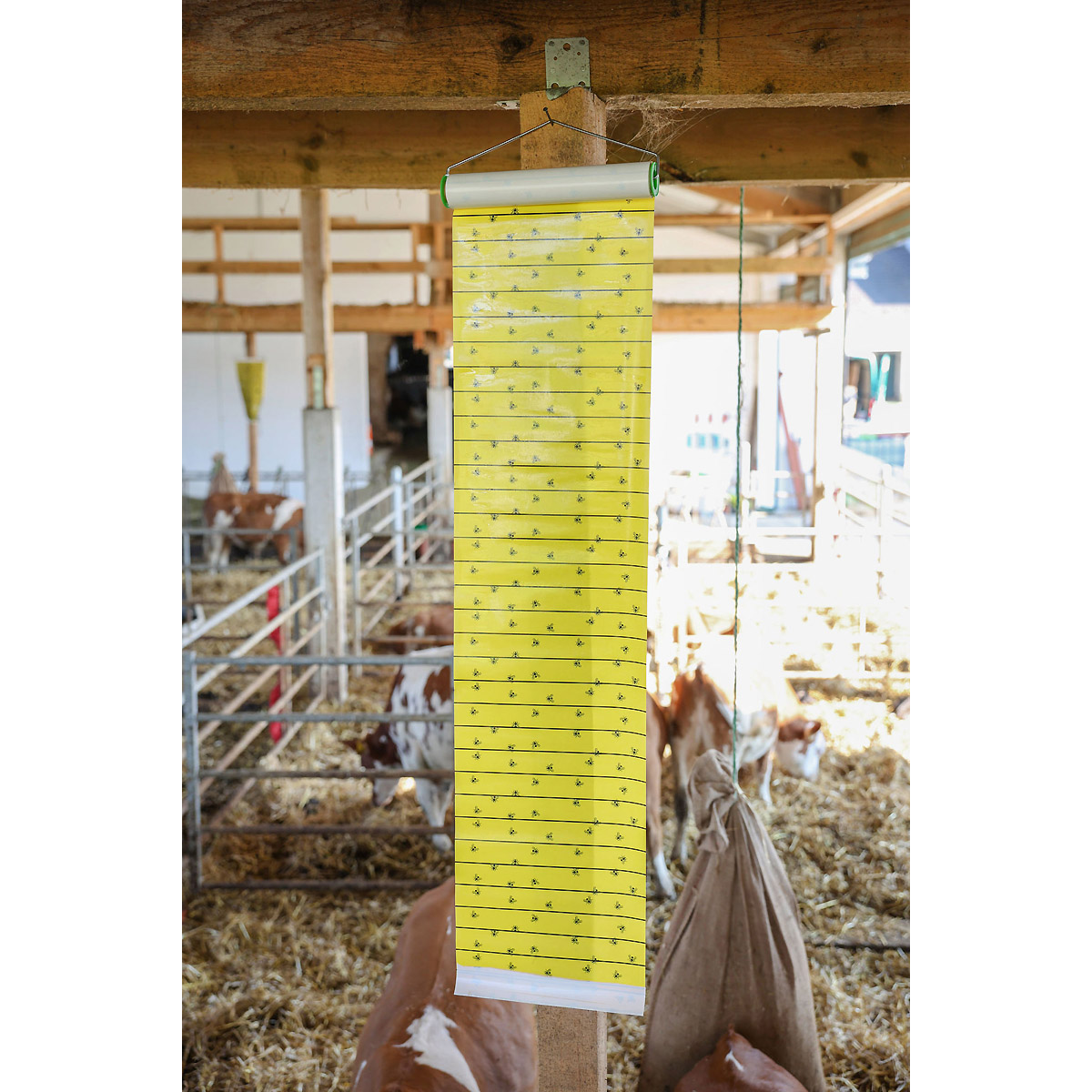 Kerbl Stall-Fliegenrolle mit Halter, 7m