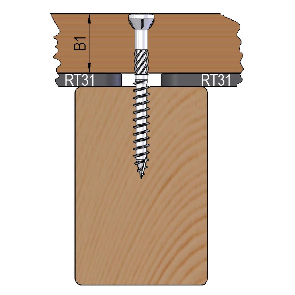 Reisser Terrassenschraube C1, Linsensenkkopf, 5,0, Teilgewinde (L1), TX 25, Martensitischer Edelstah