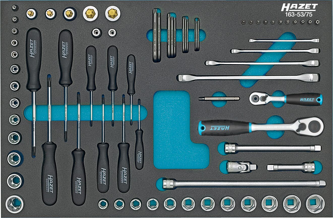 HAZET Steckschlüssel-Satz TORX® Doppel-Ringschlüssel Steckschlüssel usw. Einlage 75-teilig