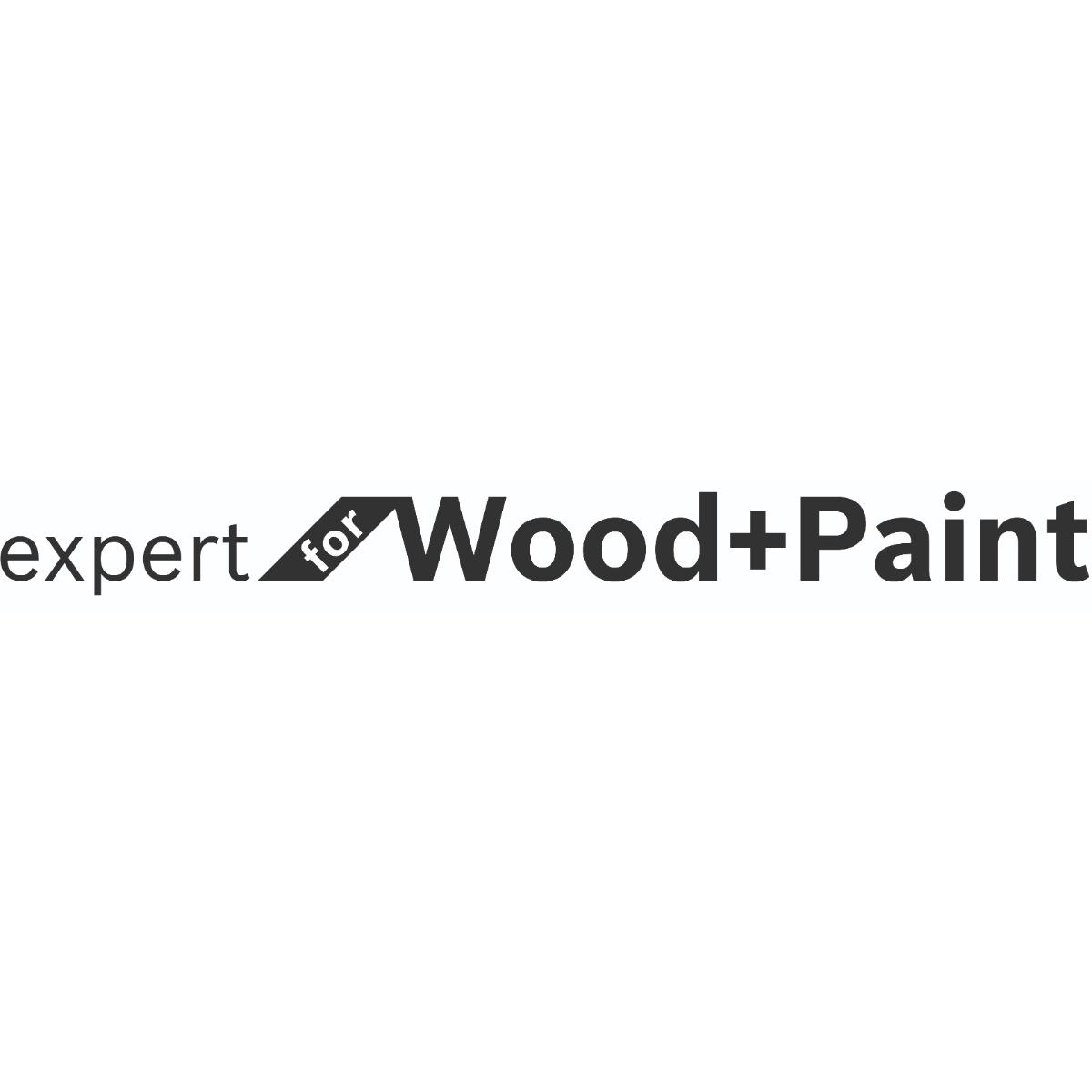 Bosch Schleifrolle J450 Expert for Wood and Paint, 93 mm x 5 m, G100 für Handschleifen