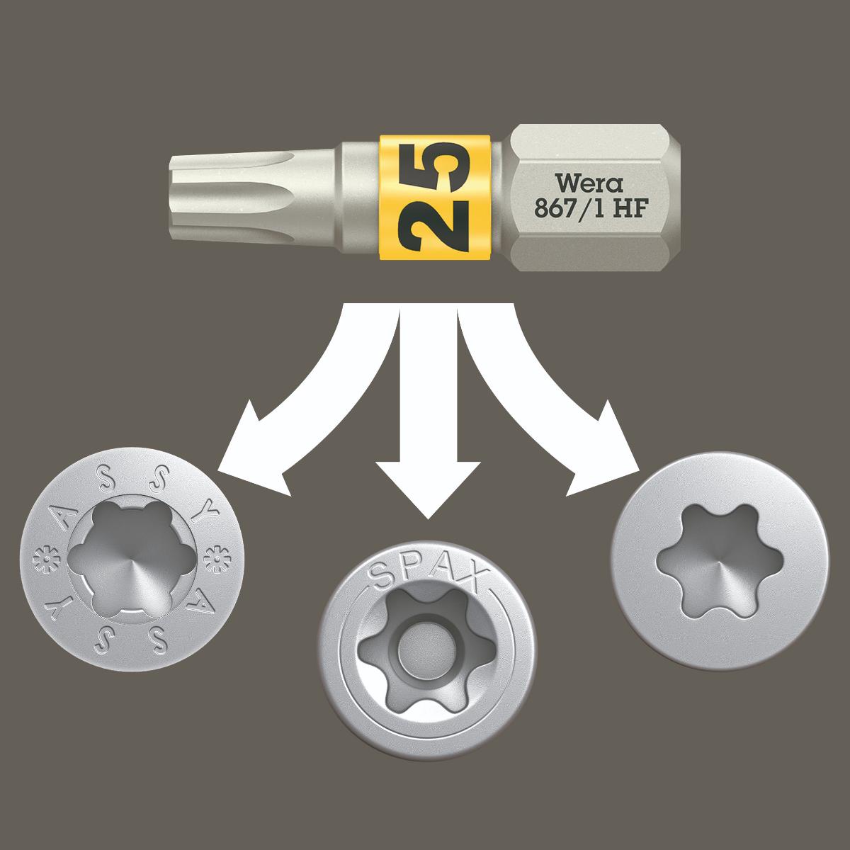Wera Bit-Check Wood TORX HF 1 SB, 12-teilig