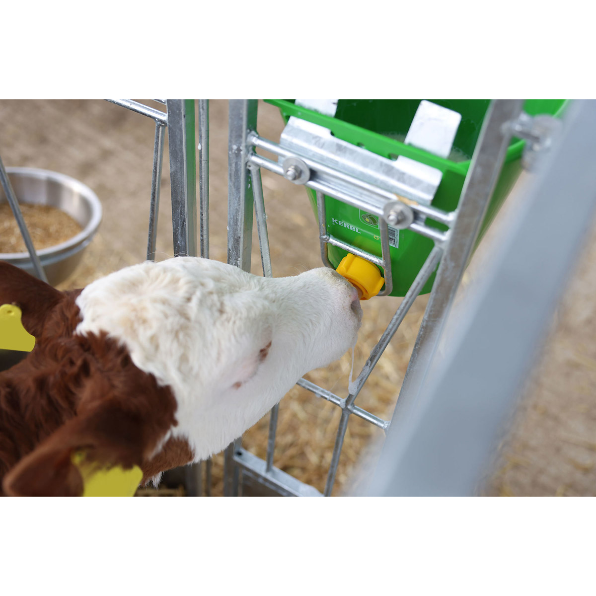 Kerbl Hygieneventil + Latex-Sauger 1454