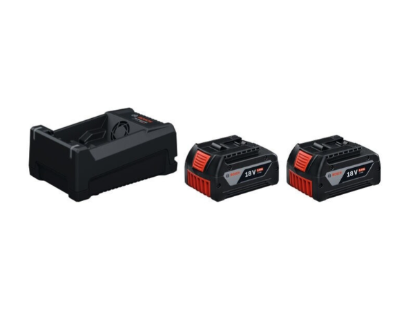Bosch Starter Set (2xGBA18V 5.0Ah, GAL12V/18)