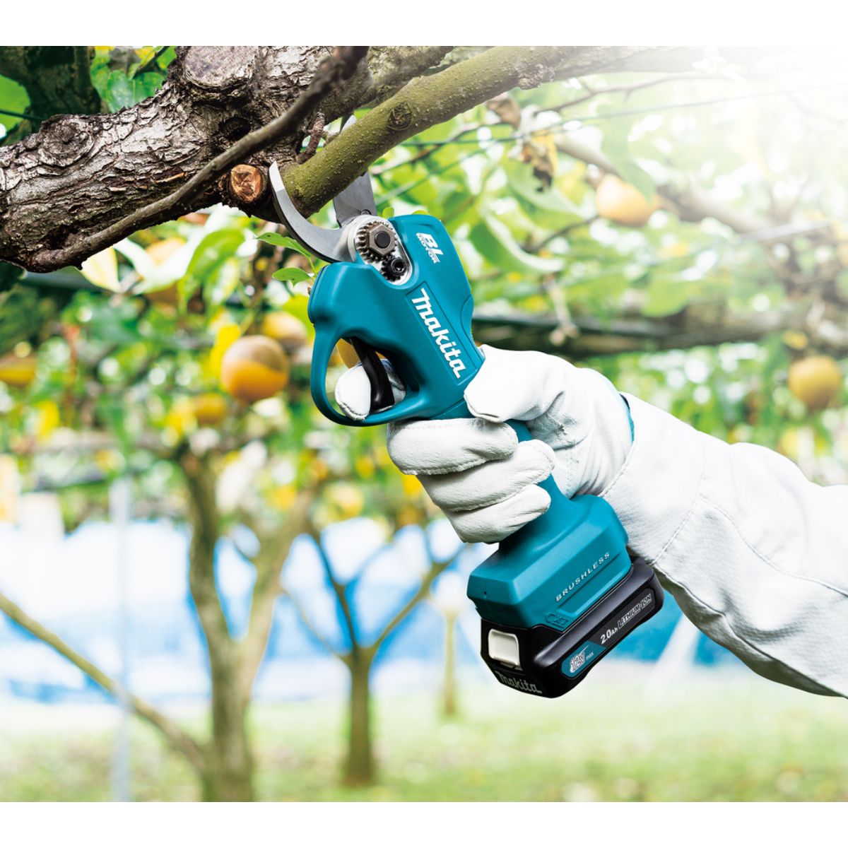 Makita Akku-Astschere 12V max. (ohne Akku, ohne Ladegerät) UP100DZ