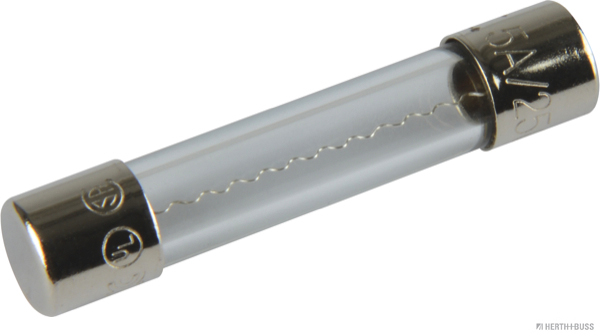 HERTH&BUSS Sicherung, Glas, F flink, 6,3 x 32mm, 250V max.