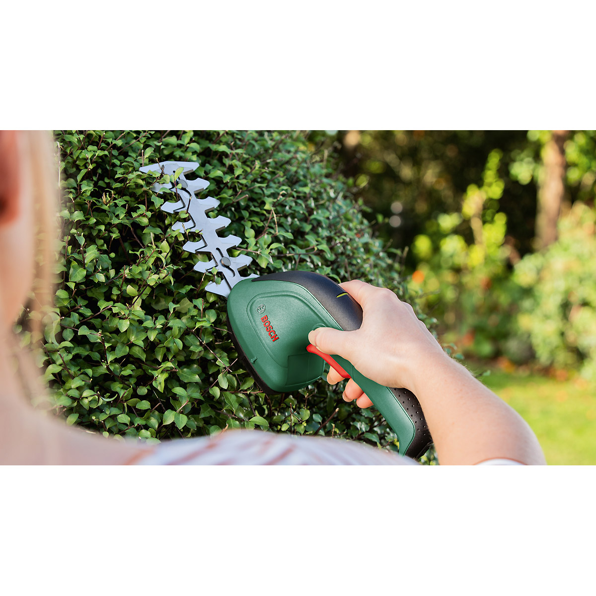Bosch Akku-Strauch- und -Grasscheren-Set EasyShear