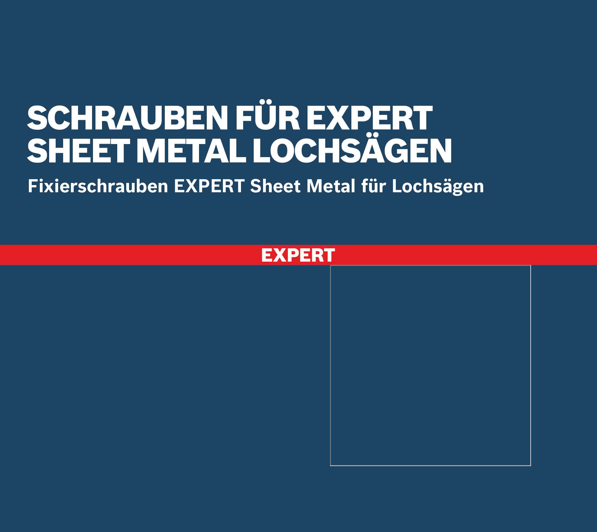 Bosch Schraube für EXPERT Sheet Metal Lochsäge mit Aufsteckhalter, M6x5x48 mm, 10-Stück