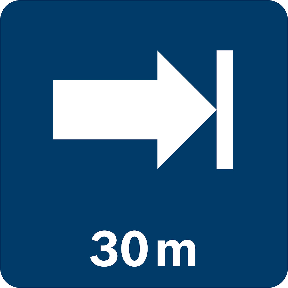 Bosch Punktlaser GPL 3 G