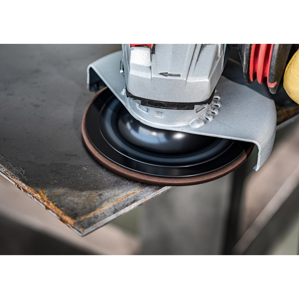 Bosch EXPERT N880 Vliesscheibe für Exzenterschleifer