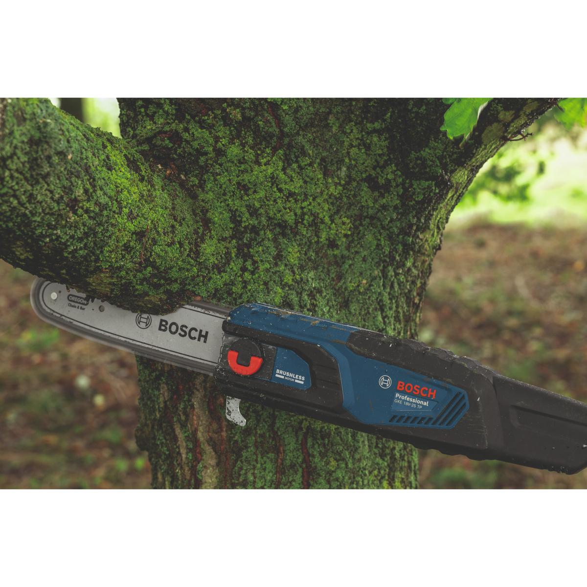 Bosch Sägekette 25 cm 1,1 mm Professional
