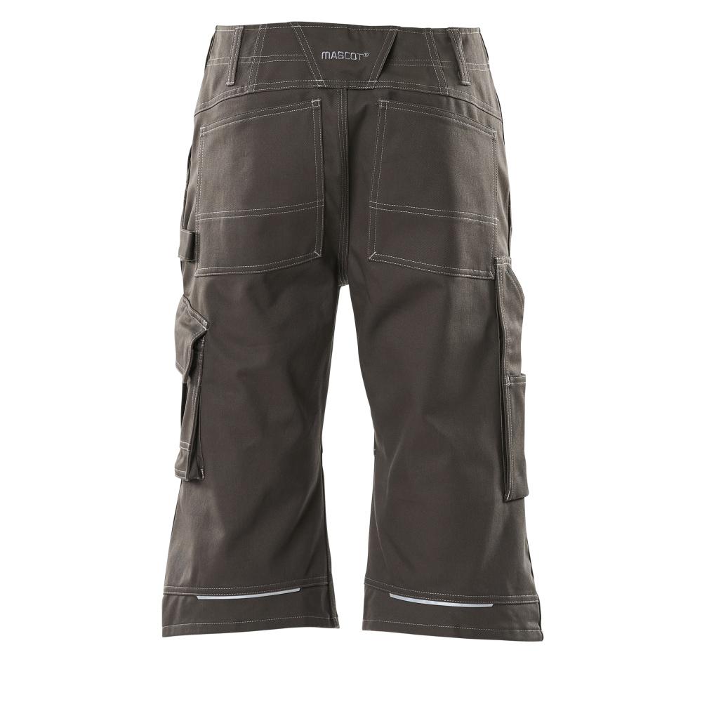 MASCOT Hartford Shorts, lang INDUSTRY