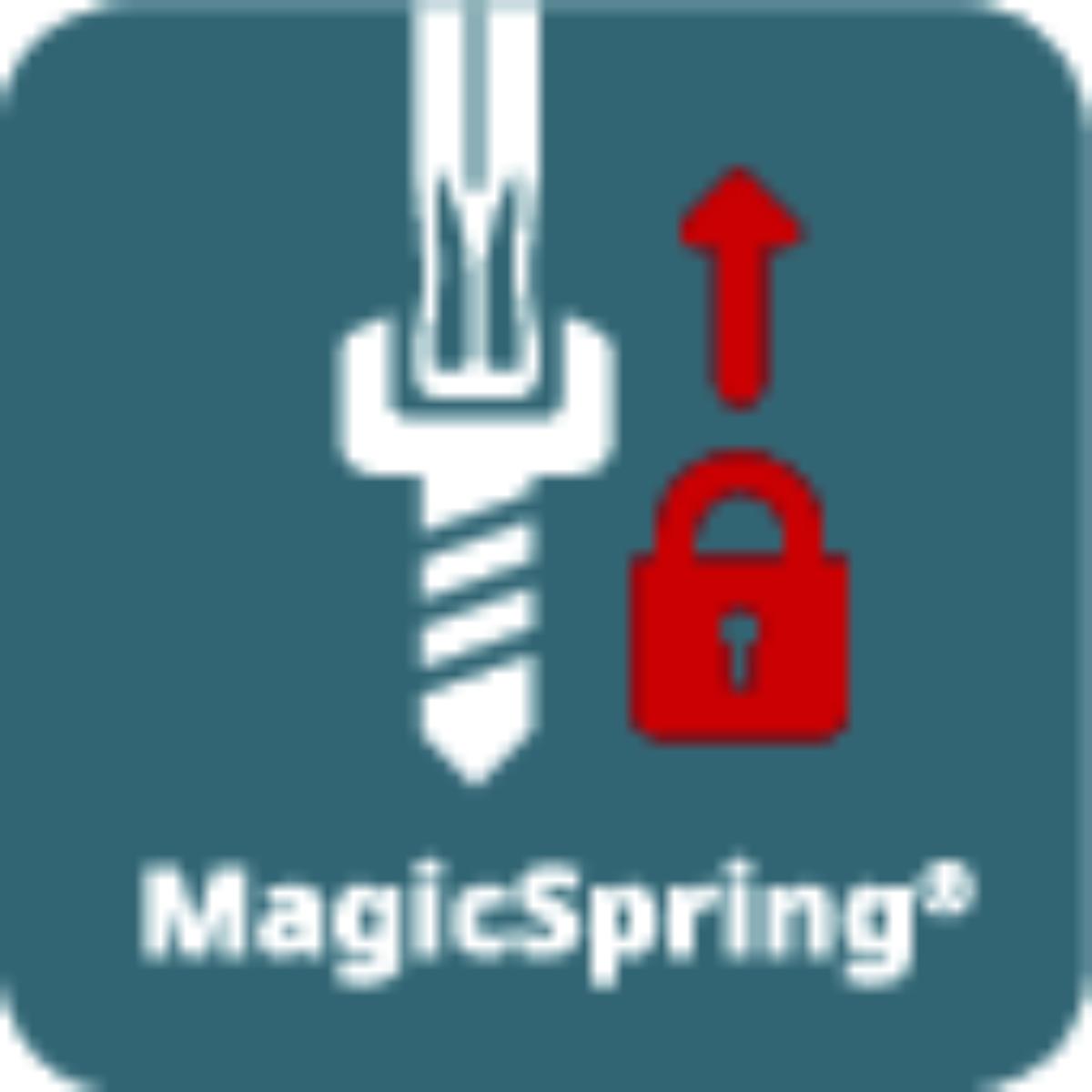 Wiha Stiftschlüssel Set im ErgoStar Halter TORX MagicSpring 13-teilges Set schwarzoxidiert in SB-Kartonverpackung