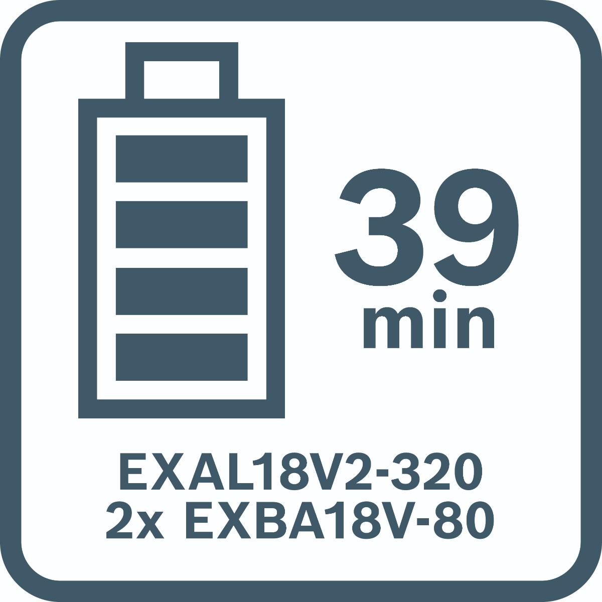 Bosch Ladegerät EXAL18V2-320