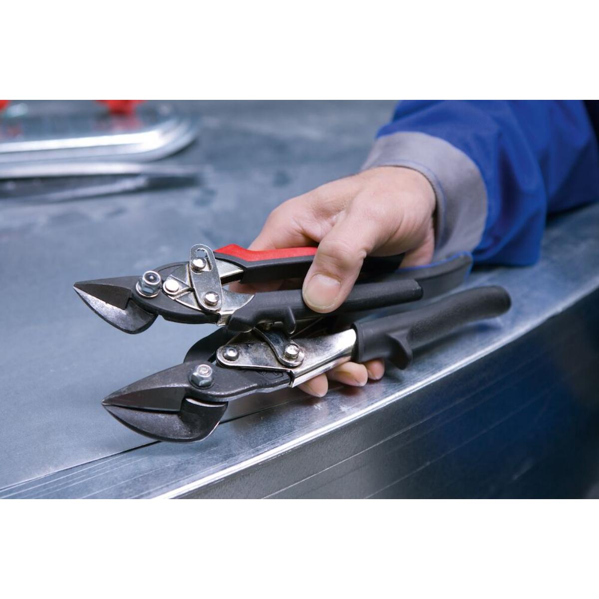 Bessey Idealscheren-Set DSET15