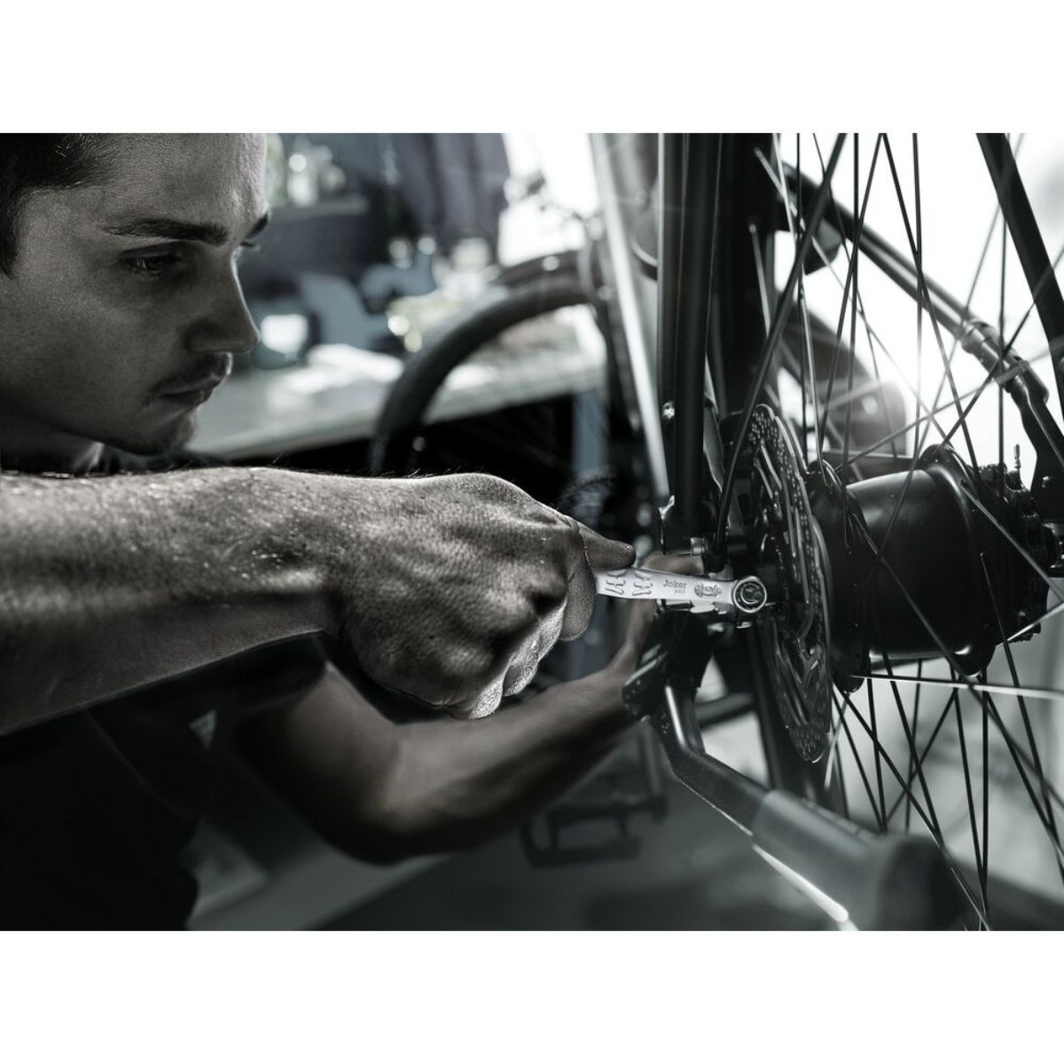 Wera Bicycle Set 12, 12-teilig