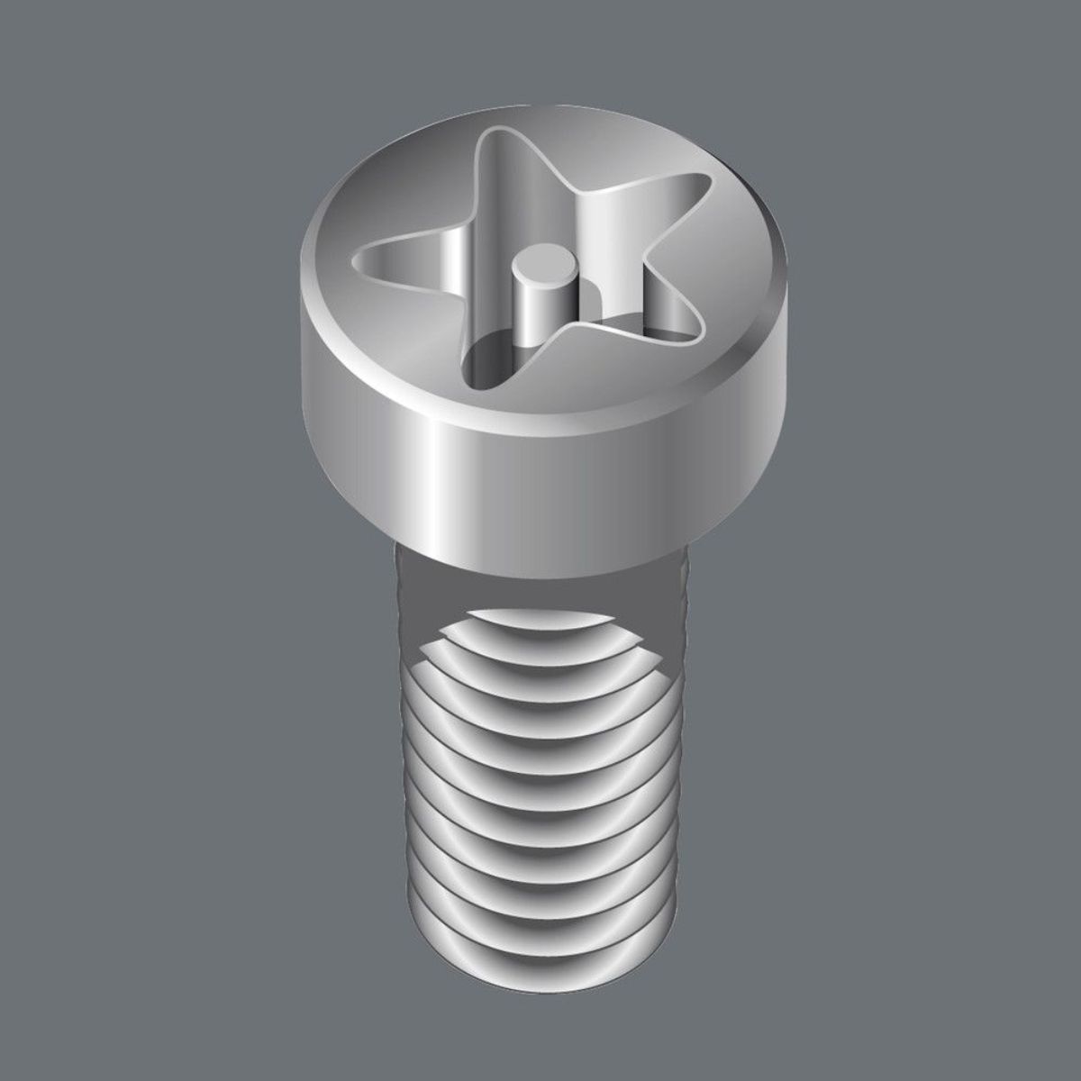 Wera 867/4 IPR TORX PLUS Bits mit Bohrung