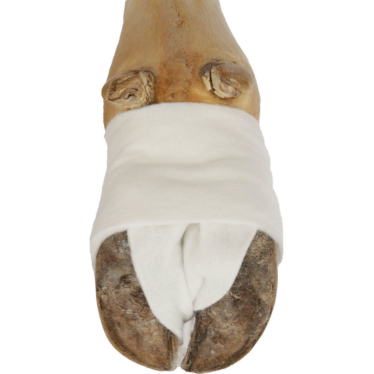 Kerbl Polsterbinde CottinoStar, 10 cm x 3 m, 6 Stück Klinikpack