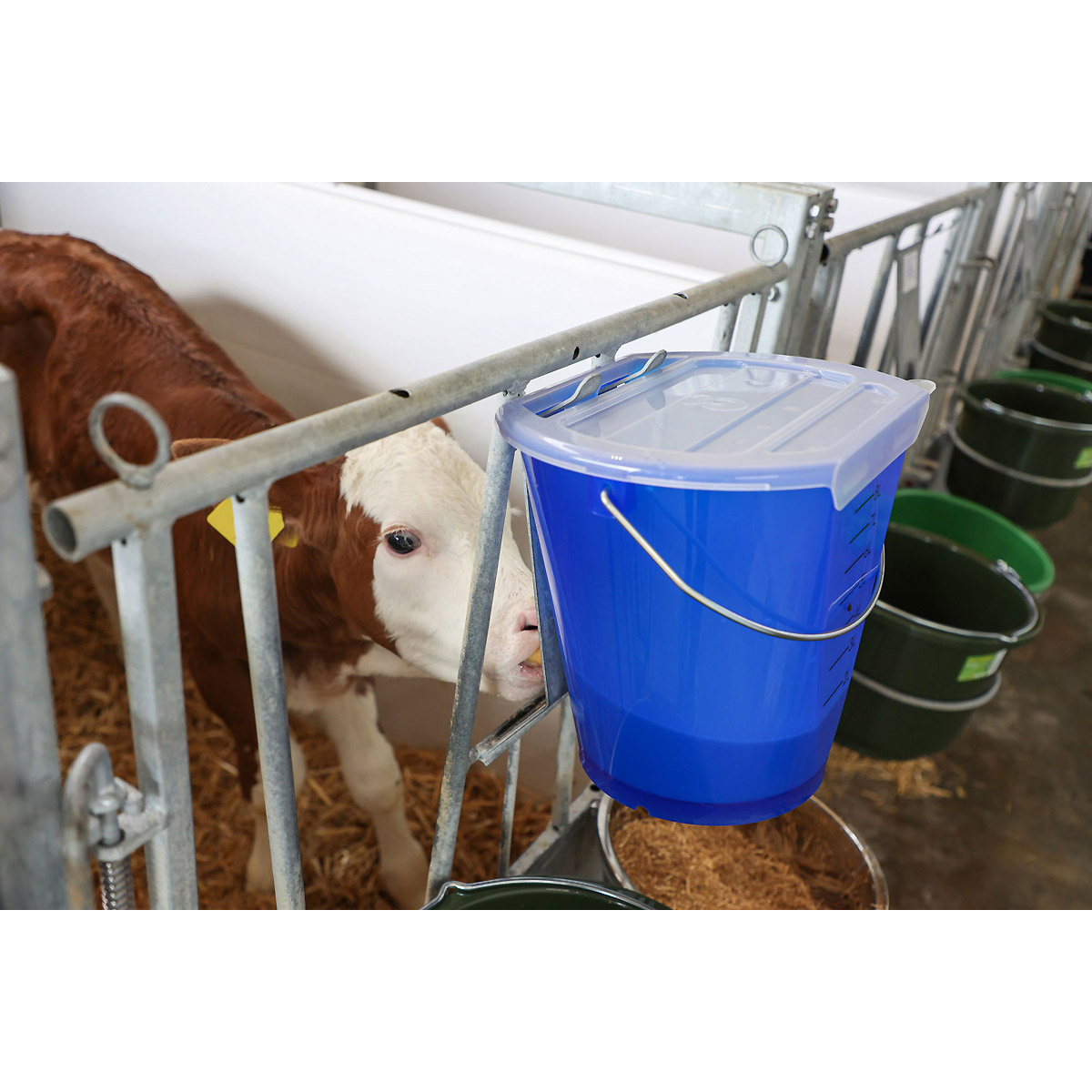 Kerbl Deckel MilkGuard für Tränkeeimer, weiß transparent