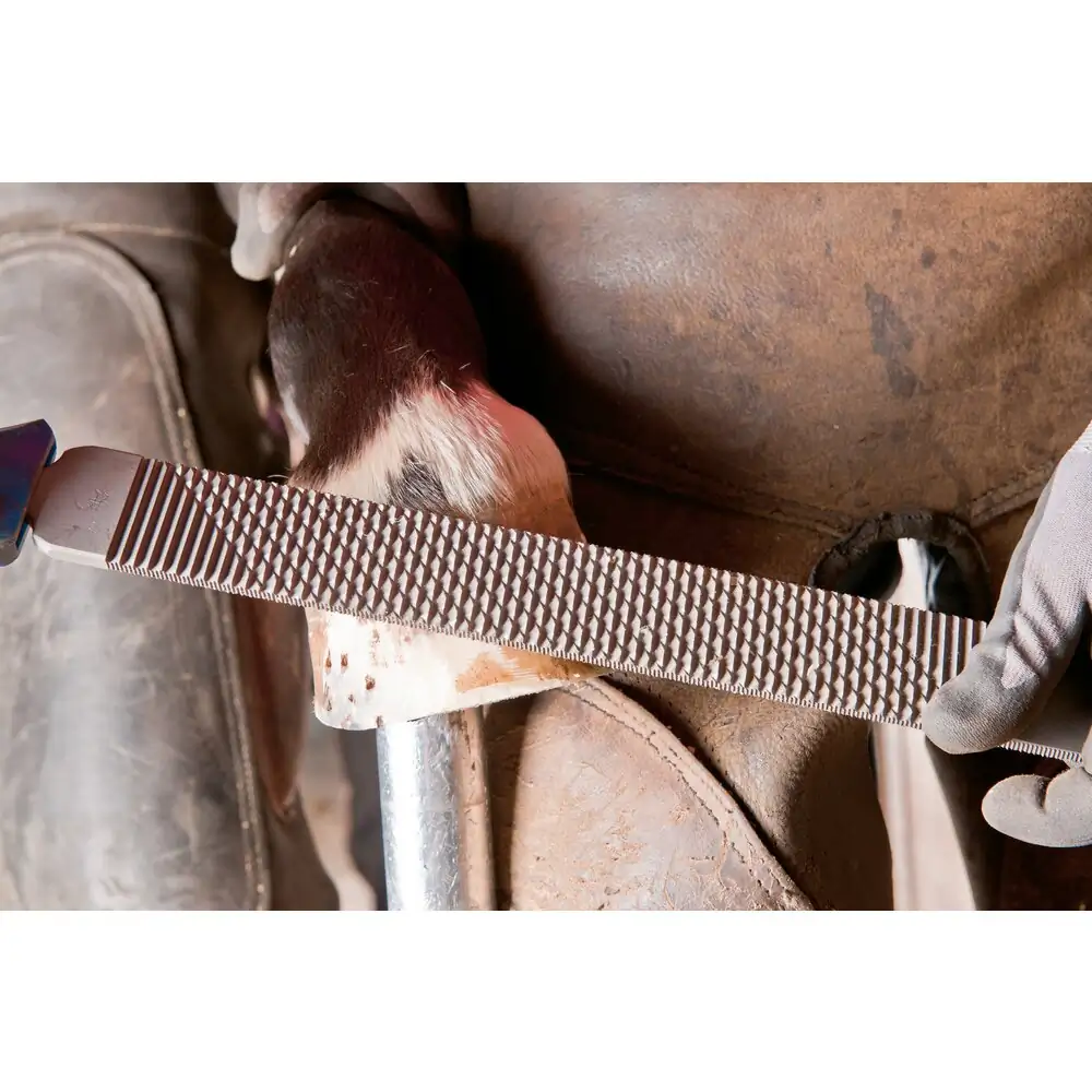 PFERD TOOLS Hufhobel-Feilenheft 110 mm für Hufobel und flache und halbrunde Feilen