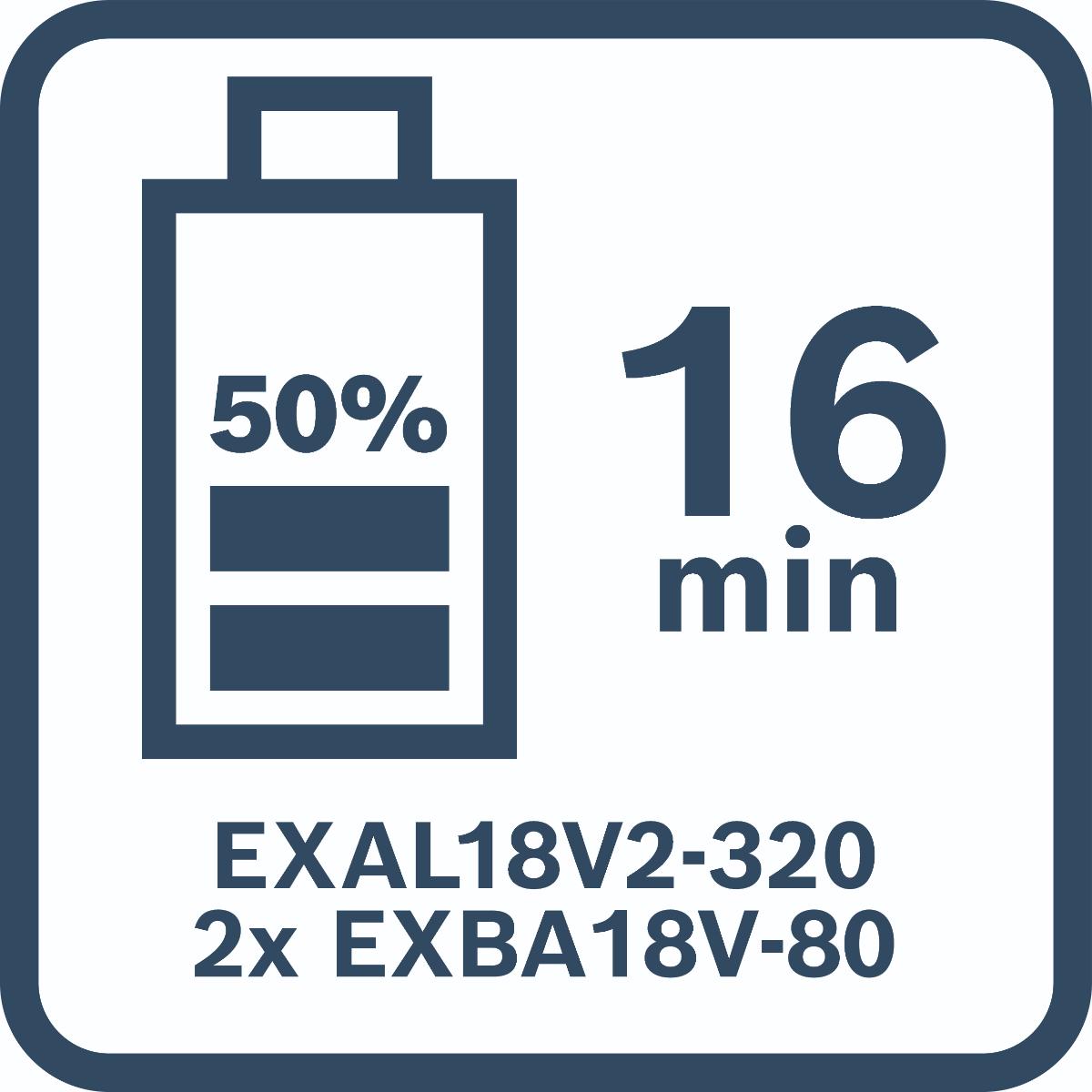 Bosch Ladegerät EXAL18V2-320