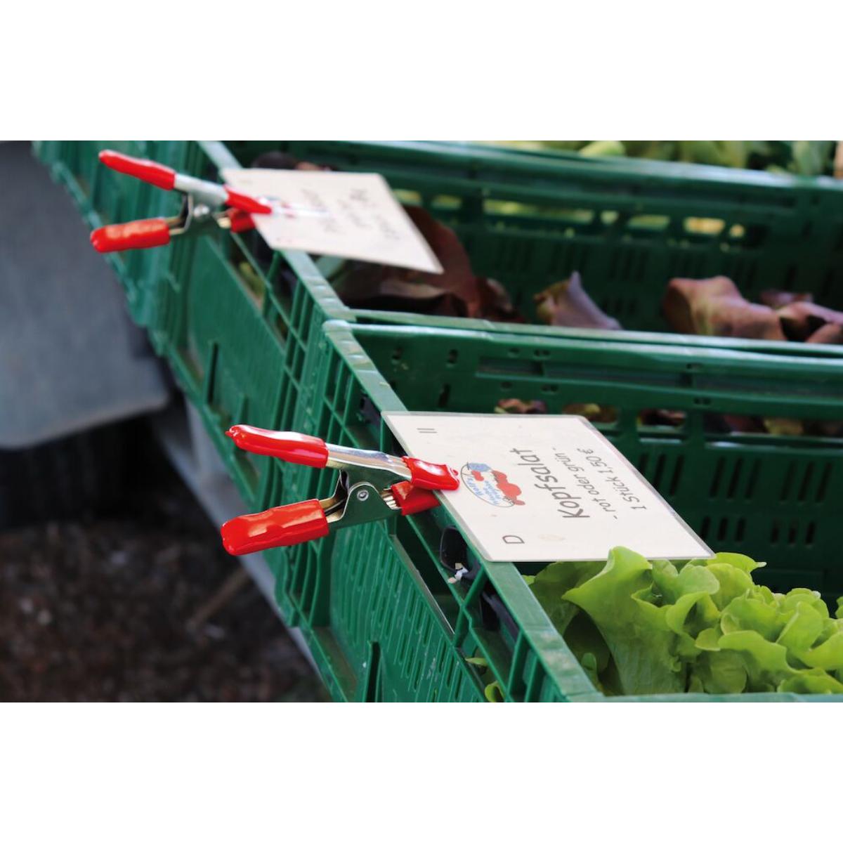Bessey Federzwinge XM