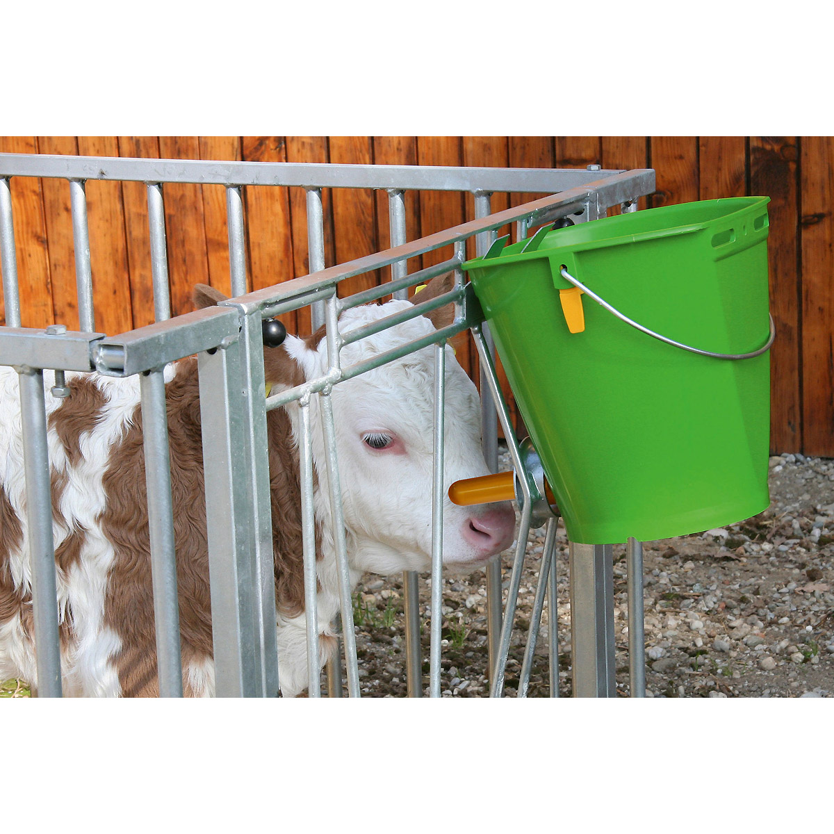 Kerbl Hygienetränkeeimer mit Klapp-Ventil