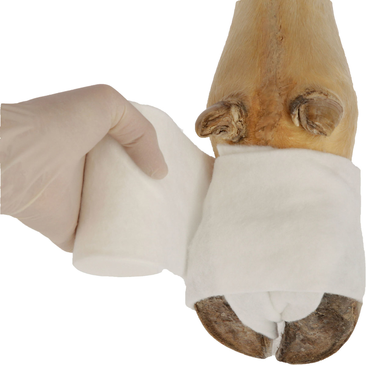 Kerbl Polsterbinde CottinoStar, 10 cm x 3 m, 6 Stück Klinikpack