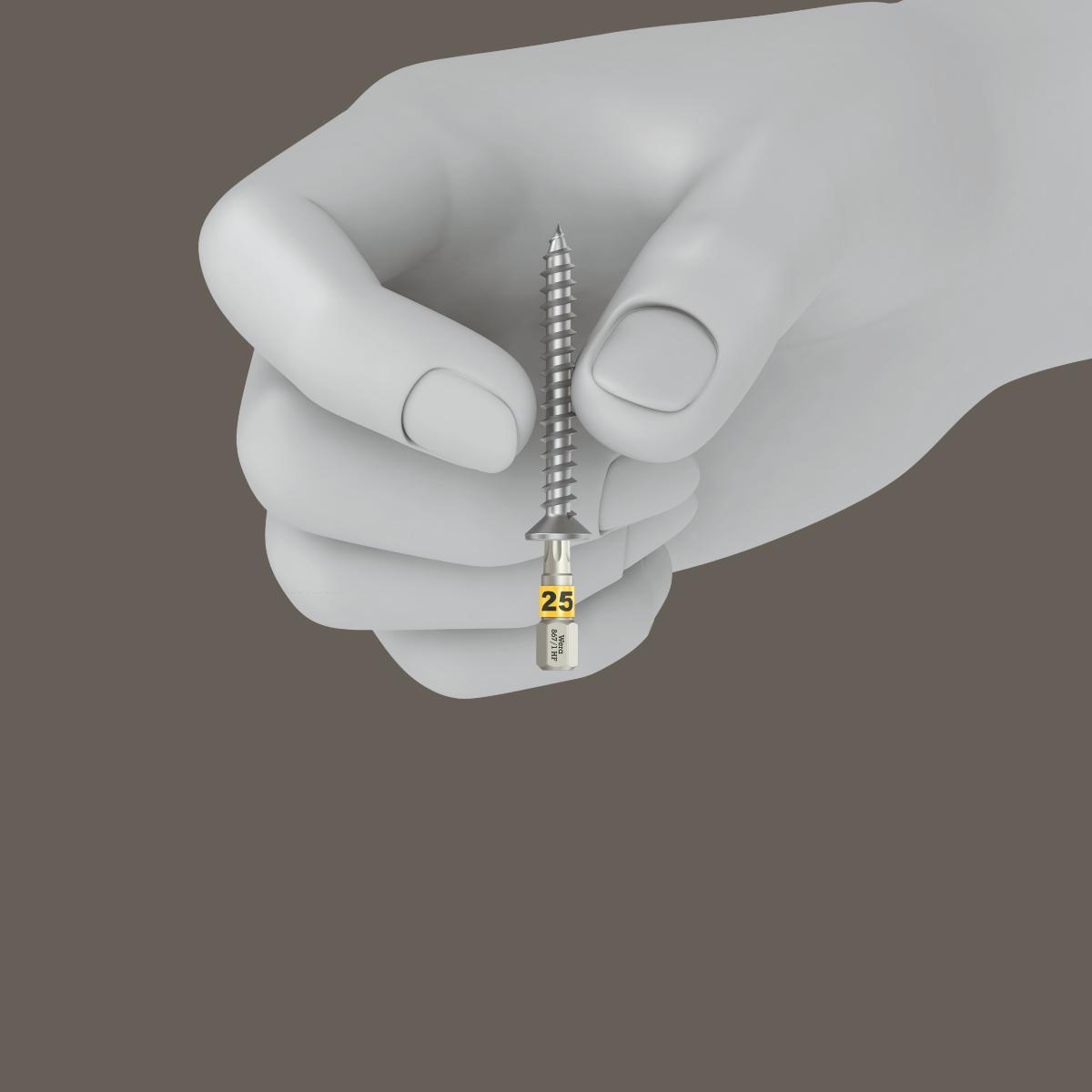 Wera Bit-Check Wood TORX HF 1 SB, 12-teilig