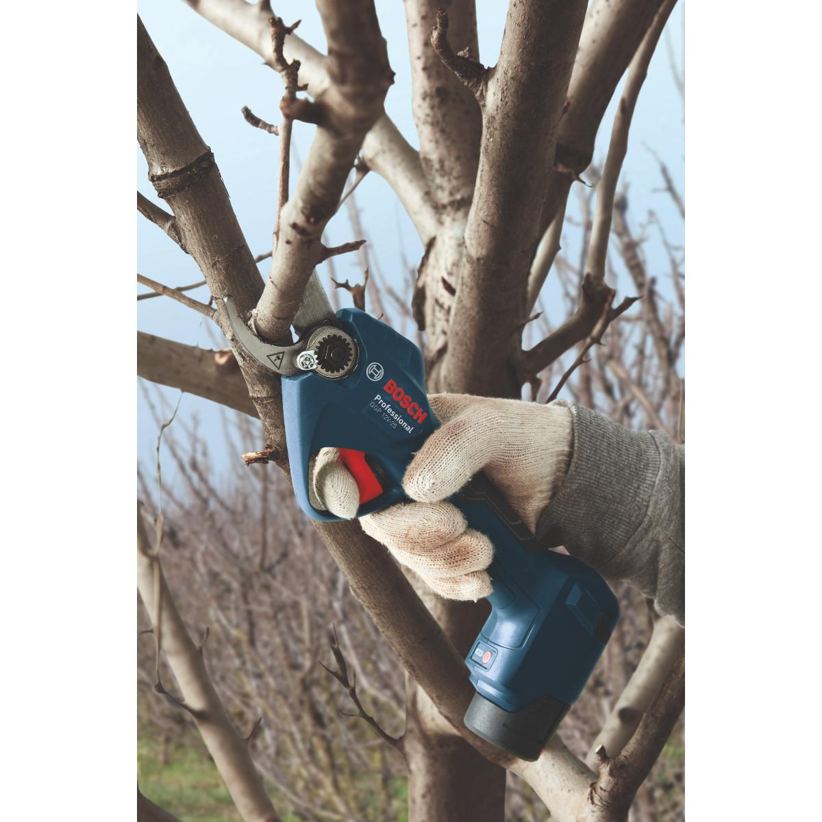 Bosch Akku-Gartenschere GGP 12V-25