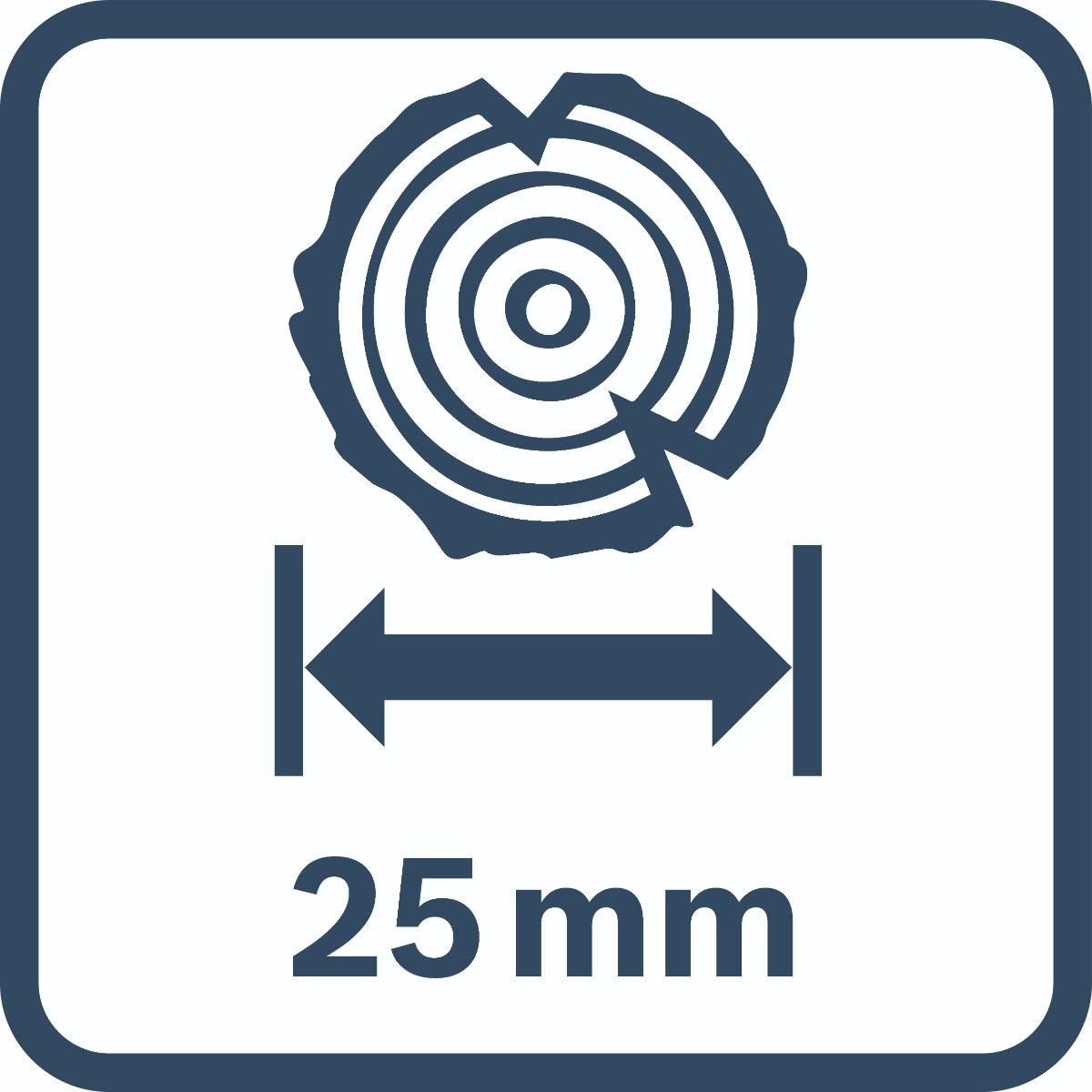 Bosch Akku-Gartenschere GGP 12V-25