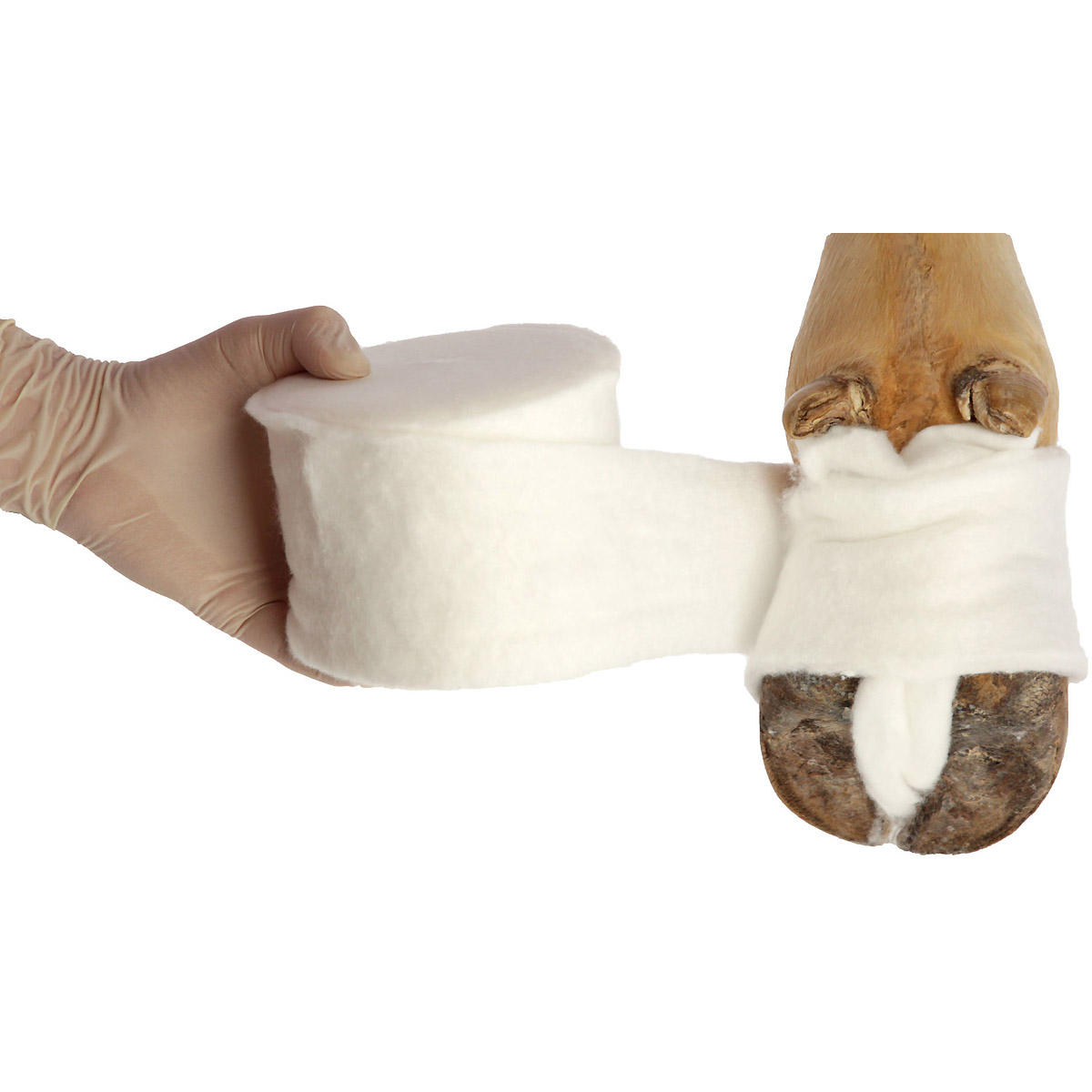 Kerbl Rollenwatte VisCotto, 10 cm x 6 m, 5 Stück