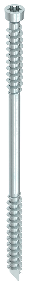 HECO WT-T, Zylindersenkkopf, T-Drive, 8,2mm, 50 Stück