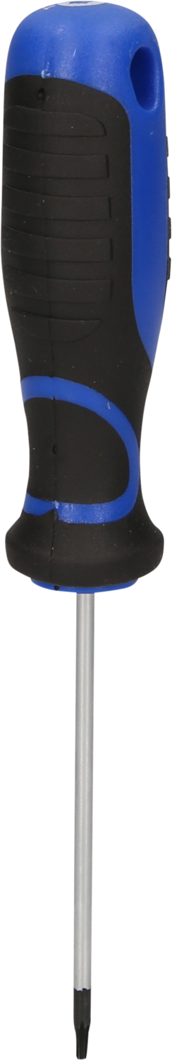 Brilliant Tools Schraubendreher TORX