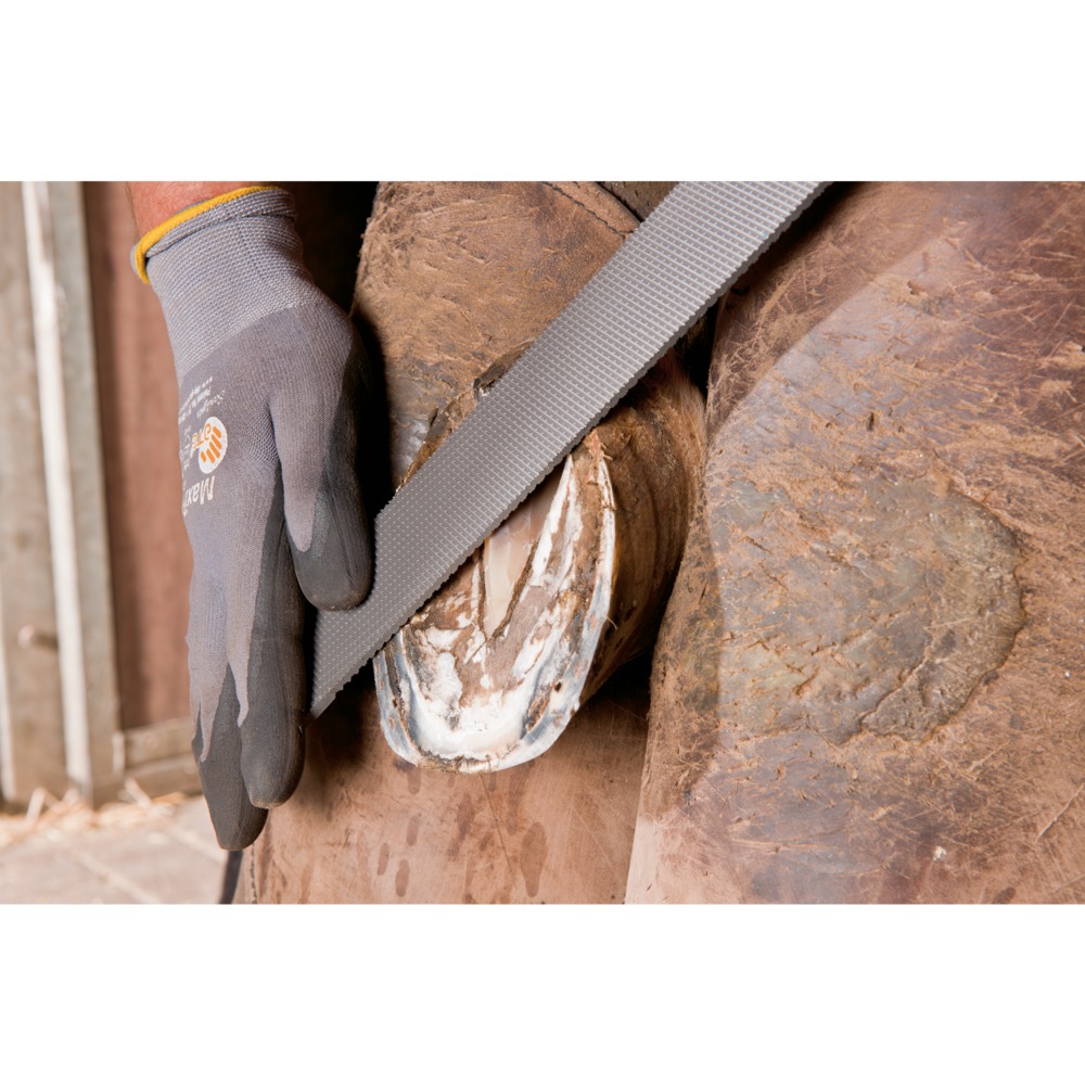 PFERD TOOLS Hufhobel Flachstumpf 350mm Planhobeln und Feinbearbeitung der Hufe