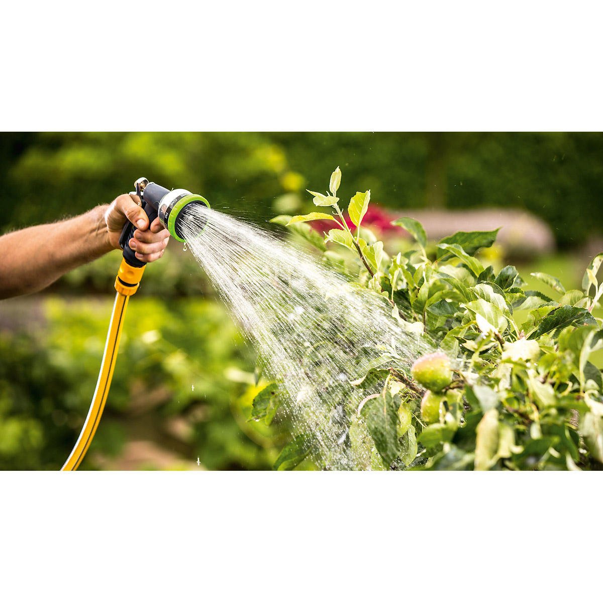 Bosch Akku-Regenwasserpumpen GardenPump 18V-2000