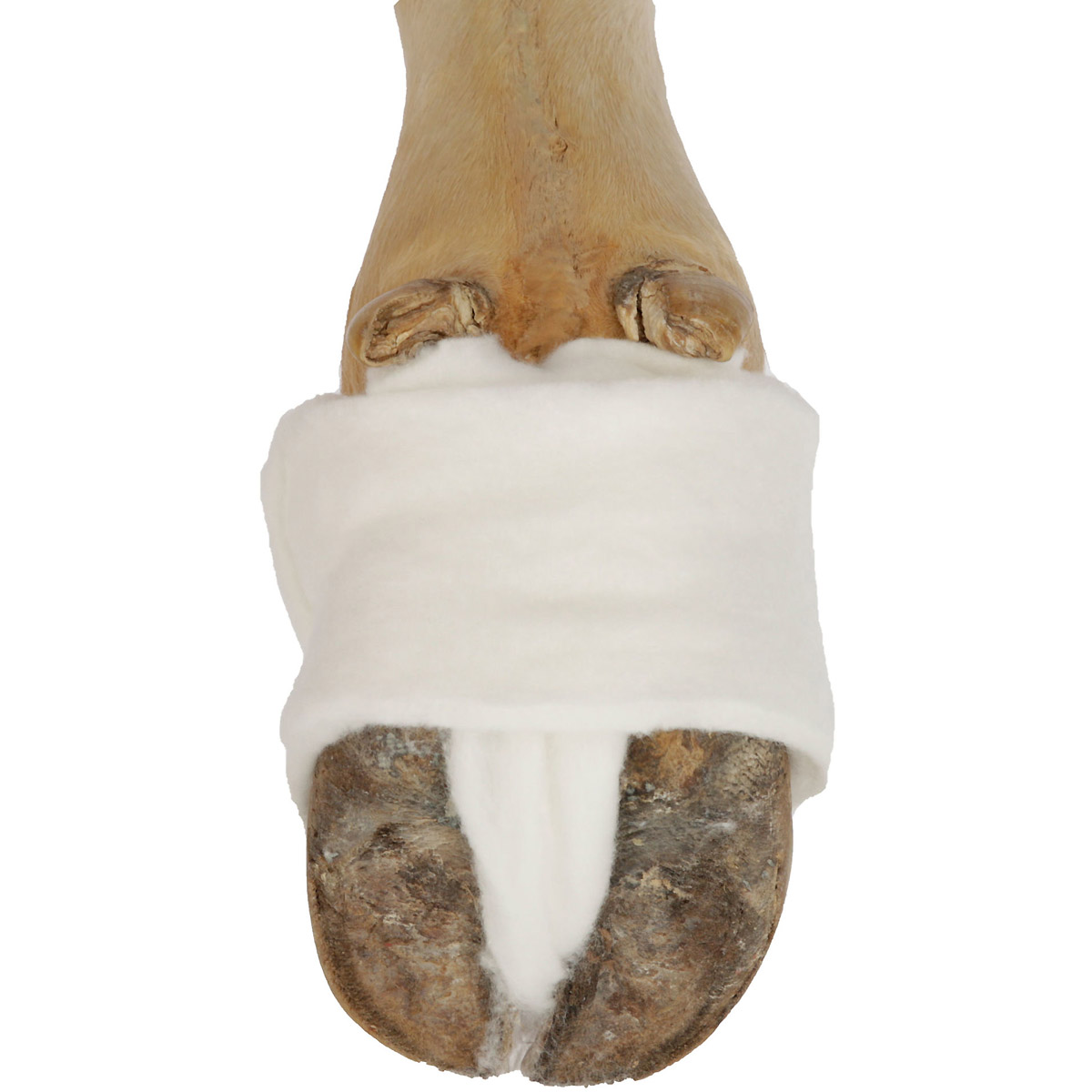Kerbl Rollenwatte VisCotto, 10 cm x 6 m, 5 Stück