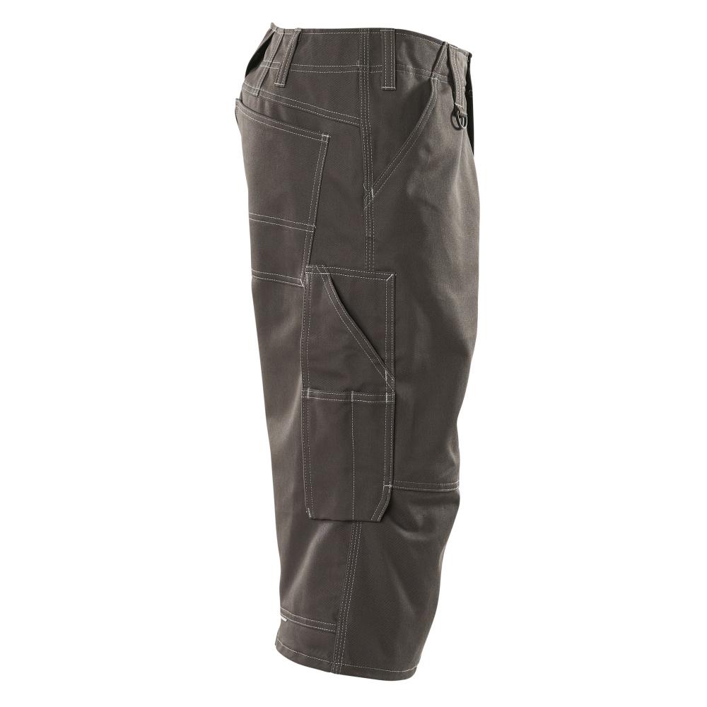 MASCOT Hartford Shorts, lang INDUSTRY