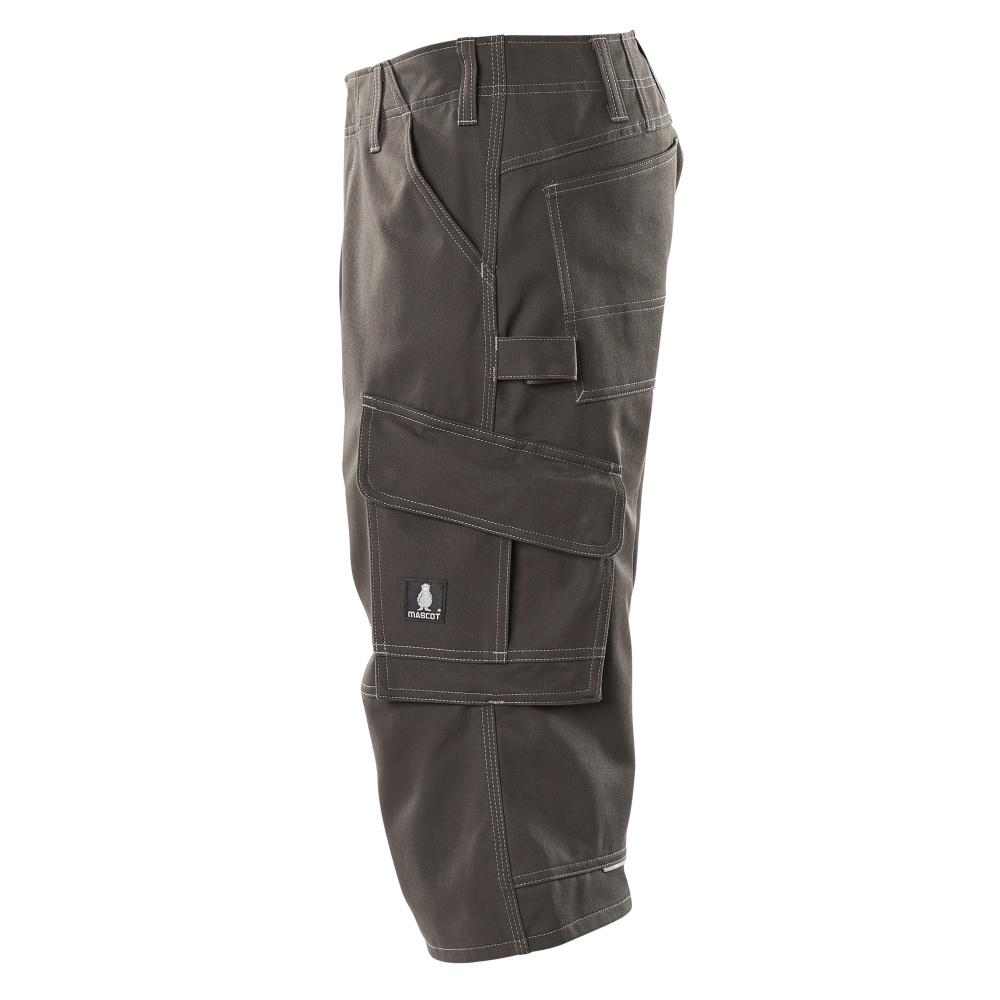 MASCOT Hartford Shorts, lang INDUSTRY