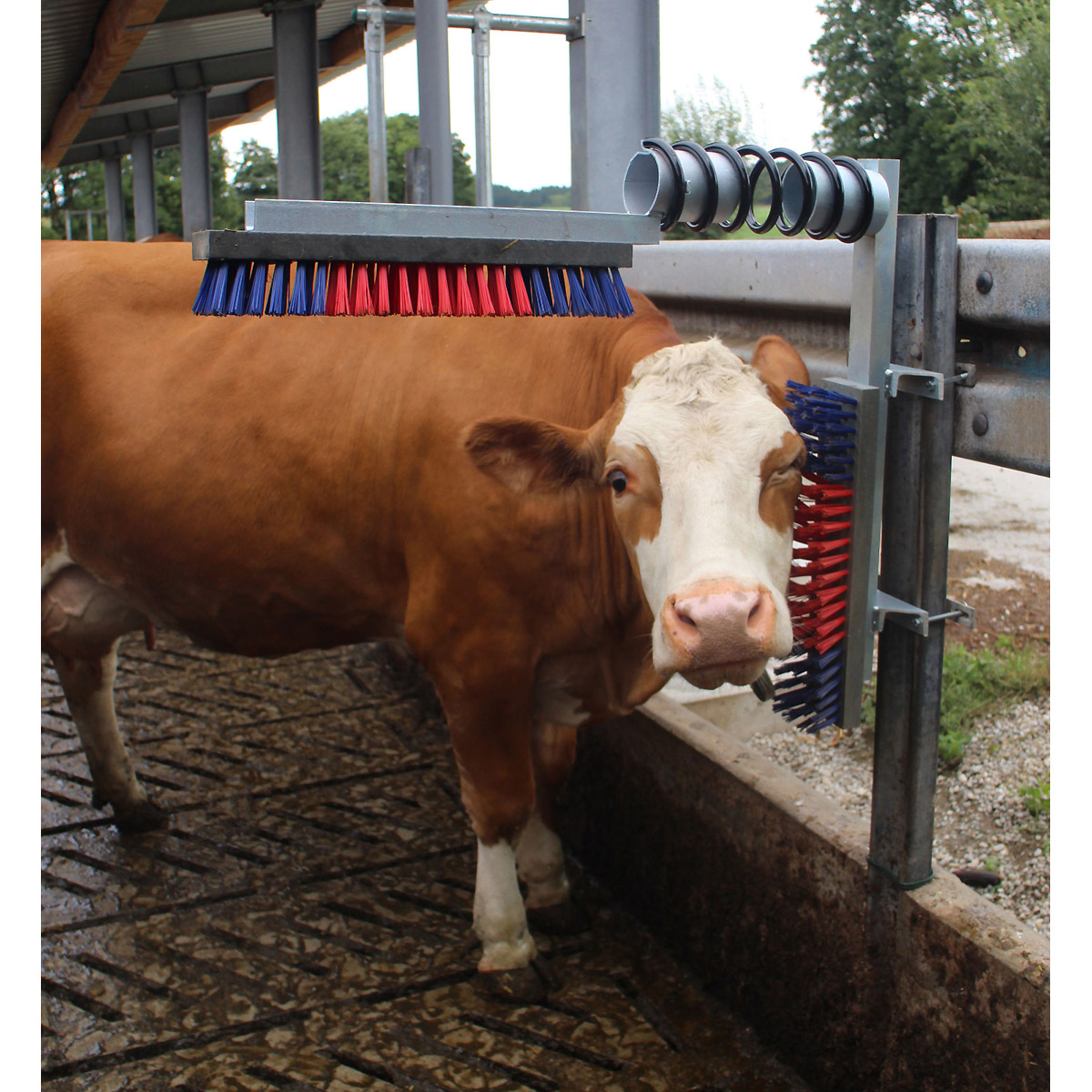 Kerbl Viehbürste EURO - FARM