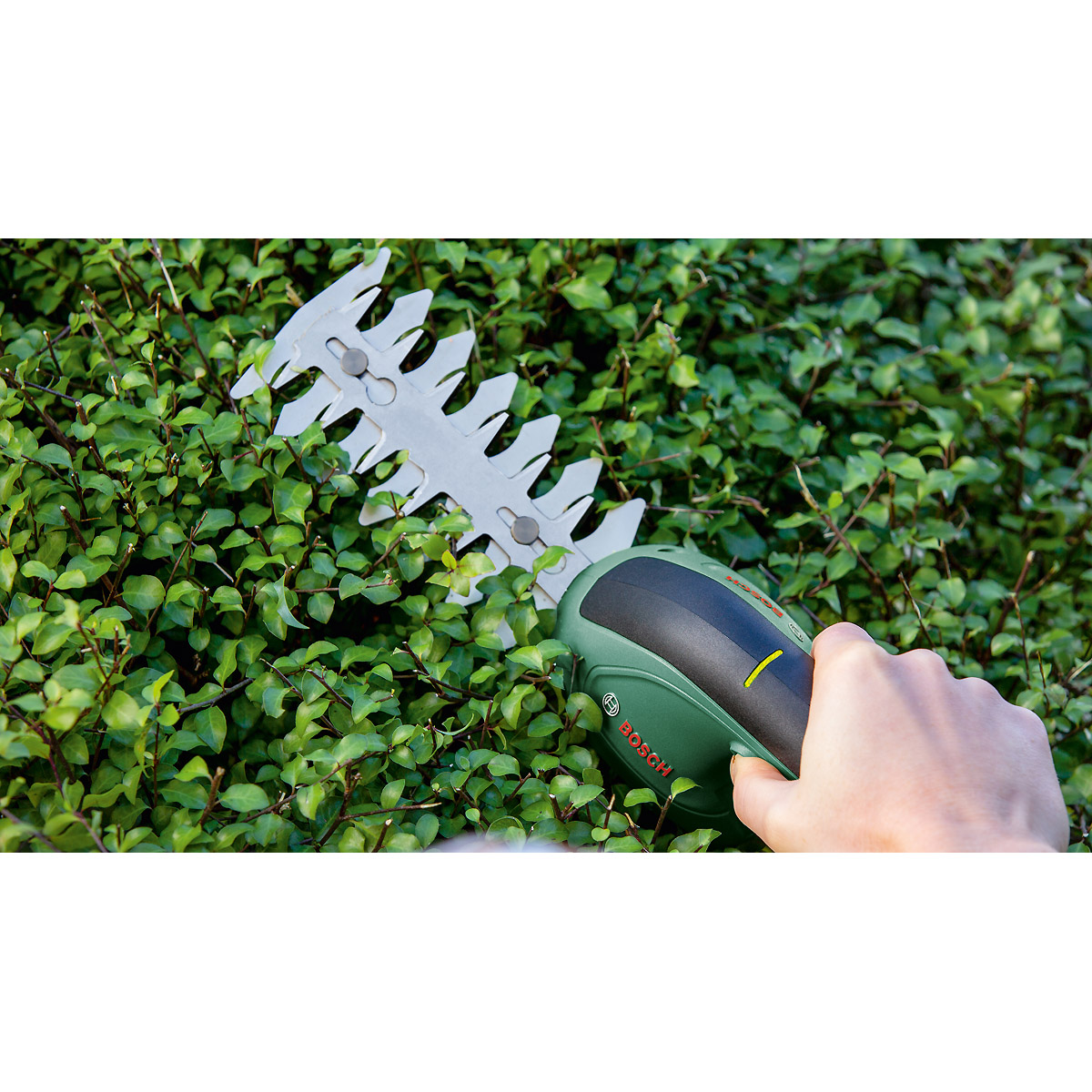 Bosch Akku-Strauch- und -Grasscheren-Set EasyShear