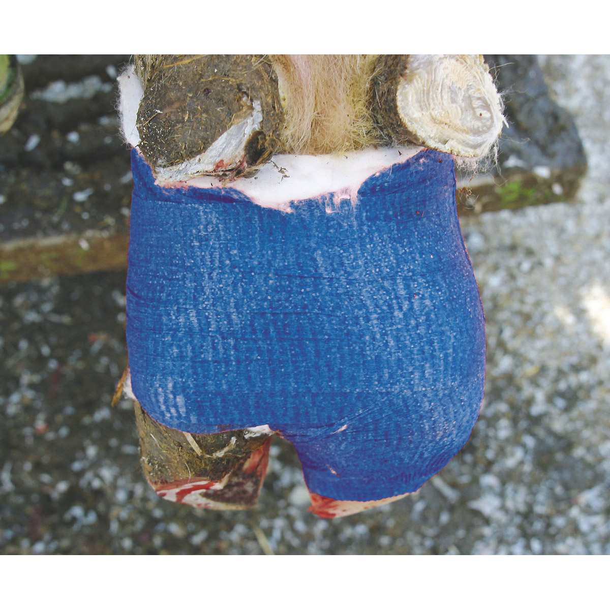 Kerbl Klauenbandage VetLastic selbsthaftend